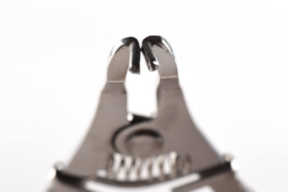 트윈링 포섭스 (C12) TwinRing Forceps (C12)